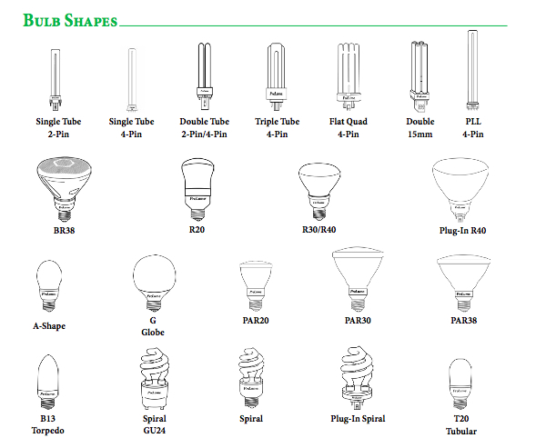 Bulbs Guide