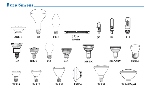Bulbs Guide